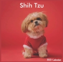 Image for Shih Tzu Calendar 2022