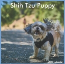 Image for Shih Tzu Puppy Calendar 2022