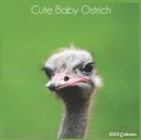 Image for Cute Baby Ostrich 2022 Calendar