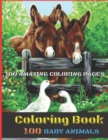 Image for 100 Baby Animals Coloring Book