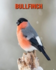 Image for Bullfinch : Amazing Facts &amp; Pictures