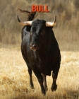 Image for Bull : Amazing Photos &amp; Fun Facts Book About Bull For Kids