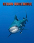 Image for Requin-Bouledogue : Photos Etonnantes &amp; Recueil d&#39;Informations Amusantes Concernant les Requin-Bouledogue pour Enfants