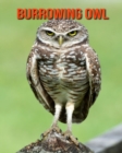 Image for Burrowing Owl