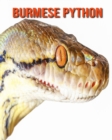 Image for Burmese Python