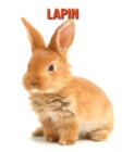 Image for Lapin : Informations Etonnantes &amp; Images