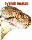 Image for Python Birman : Photos Etonnantes &amp; Recueil d&#39;Informations Amusantes Concernant les Python Birman pour Enfants