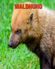 Image for Waldhund