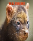 Image for Waldhund : Sagenhafte Fotos &amp; Buch mit lustigem Wissen uber Waldhund fur Kinder