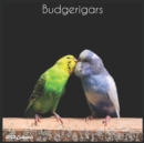 Image for Budgerigars 2022 Calendar