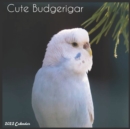 Image for Cute Budgerigar 2022 Calendar