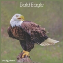 Image for Bald Eagle 2022 Calendar