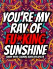 Image for You&#39;re My Ray of Fu*king Sunshine
