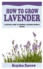 Image for How to Grow Lavender : Essential Guide to Growing Lavender without Hassle