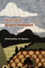 Image for Instruction to Bargello Needlepoint