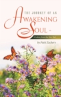 Image for Journey of an Awakening Soul - Wisdom from the Hot Tub