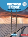 Image for Oresund Bridge and Other Great Building Feats