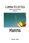 Image for Lumina Eclectica Volume 1 - Marina : What I Find Interesting