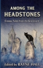 Image for Among the Headstones : Creepy Tales from the Graveyard: Gothic Ghost and Horror Stories