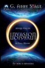 Image for Invasion in Full-Moon