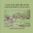 Image for Can You See Me Now