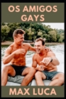 Image for Os amigos gays