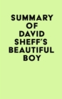 Image for Summary of David Sheff&#39;s Beautiful Boy