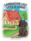 Image for Labrador Lily Gets A Home