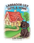Image for Labrador Lily Gets A Home