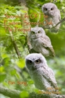 Image for Secret Life of the Eastern Screech Owl - The Prequel : Breeding Season 2021-2022