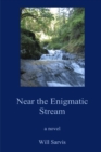 Image for Near the Enigmatic Stream