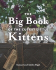 Image for The Big Book of the Cutest Little Kittens