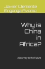 Image for Why is China in Africa? : A Journey to the Future