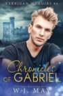 Image for Chronicles of Gabriel
