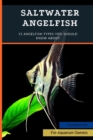 Image for Saltwater Angelfish : 15 Angelfish Types You Should Know About