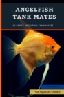 Image for Angelfish tank mates : 15 Great Angelfish Tank Mates