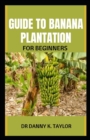 Image for Guide to Banana Plantation for Beginner