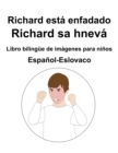 Image for Espanol-Eslovaco Richard esta enfadado / Richard sa hneva Libro bilingue de imagenes para ninos