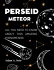 Image for Perseid Meteor
