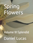 Image for Spring Flowers : Volume 91 Splendid