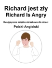 Image for Polski-Angielski Richard jest zly / Richard Is Angry Dwujezyczna ksiazka obrazkowa dla dzieci