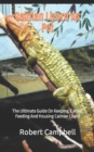 Image for Caiman Lizard As Pet