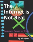 Image for The Internet is Not Real : Common Sense for Kids