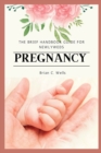 Image for Pregnancy : The Brief Handbook Guide for Newlyweds