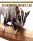 Image for Kurzkopfgleitbeutler
