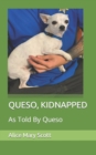 Image for Queso, Kidnapped : As Told By Queso