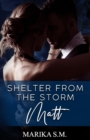 Image for Shelter From The Storm - Matt