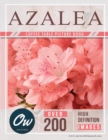 Image for Azalea : Coffee Table Picture Book