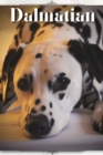 Image for Dalmatian : Dog breed overview and guide