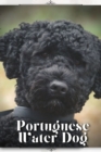 Image for Portuguese Water Dog : Dog breed overview and guide